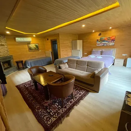 Pinar Kir Evi Casa rural Artvin